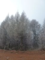 obrázok 27 z Projekt Učíme sa pre život, Lačnov, Bachureň