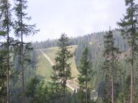 obrázok 12 z Projekt Učíme sa pre život