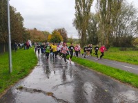 obrázok 5 z Okresné kolo v cezpoľnom behu