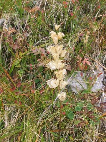 obrázok 56 z Projekt Učíme sa pre život